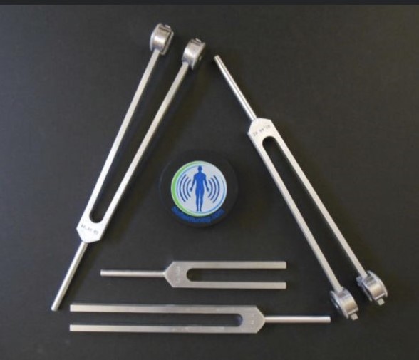 Picture of tuning forks used in  biofield 